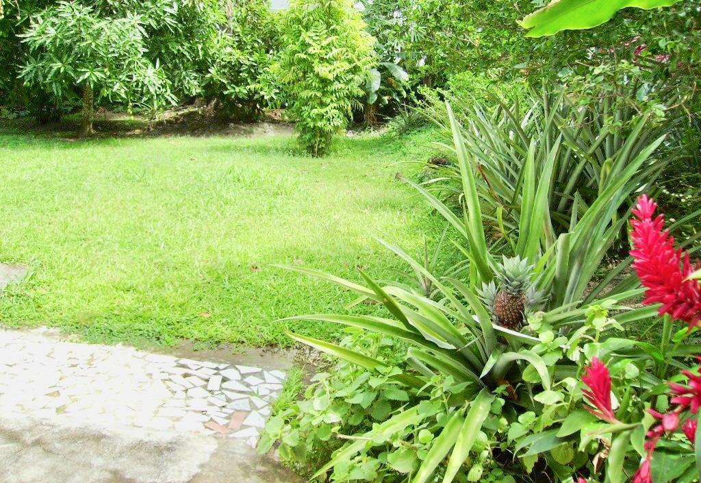 Apartmán Diamondview Soufrière Exteriér fotografie