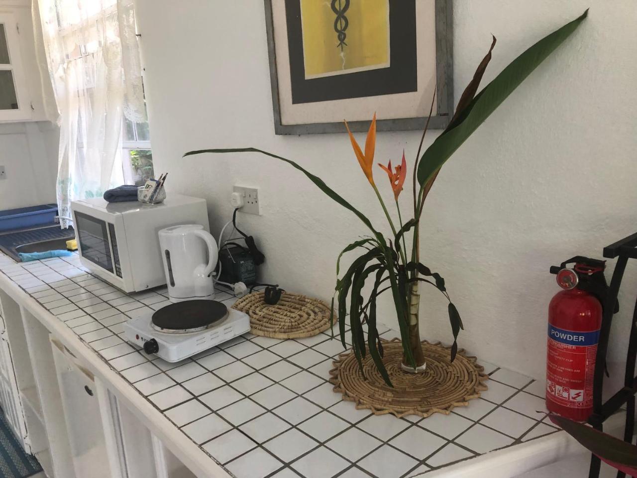 Apartmán Diamondview Soufrière Exteriér fotografie